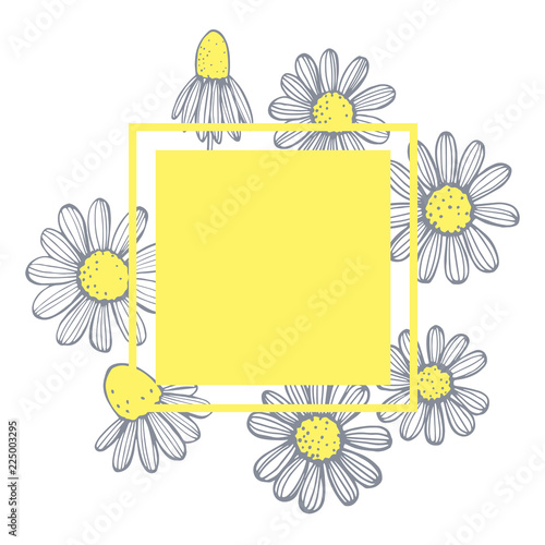  Vector frame with hand drawn chamomile flowers .
