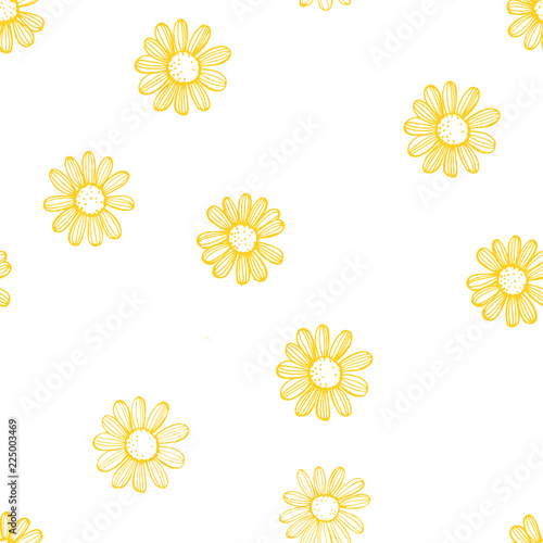 Hand drawn chamomile flowers on white background .Vector  seamless pattern