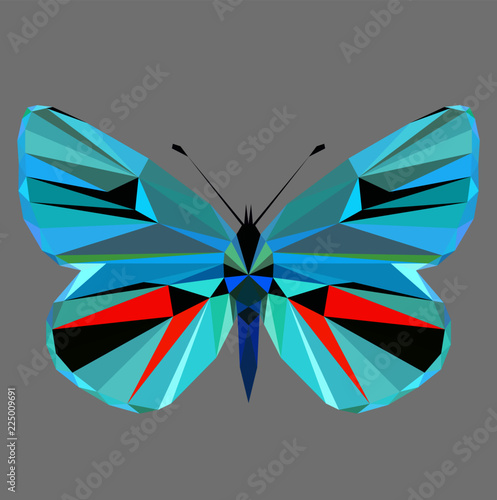 Butterfly polygonal low poly isolated on grey background,symmetrical vector illustration. Insect with geometry triangle. Suitable for printing on a t-shirt. Abstract butterfly of blue and red colors.