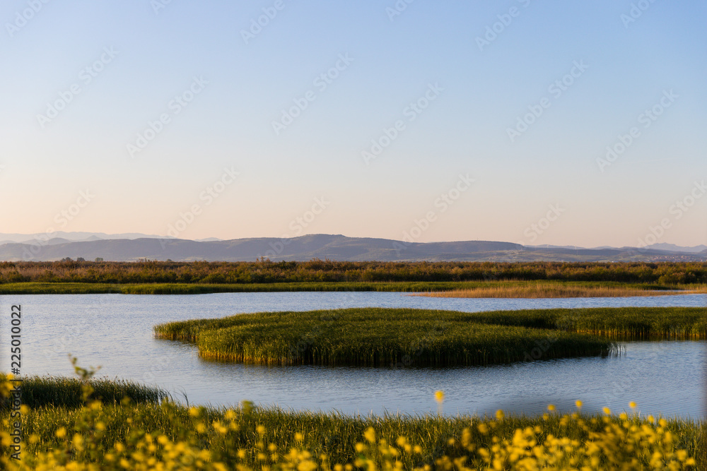 Water flowing through stubbles and green fields in Evros Delta, Greece