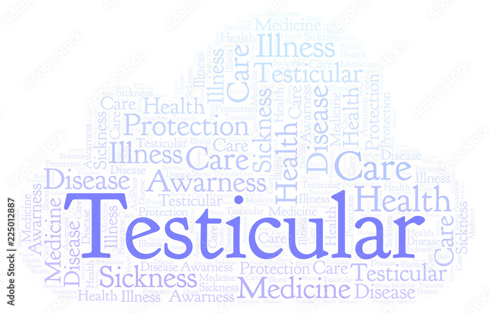 Fototapeta premium Testicular word cloud.