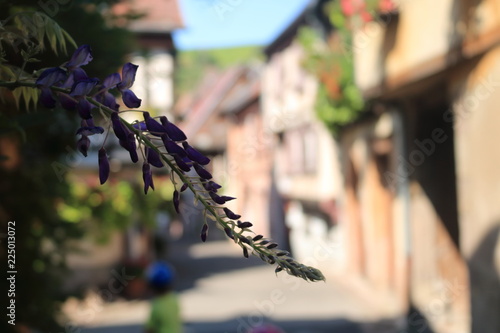 fleur