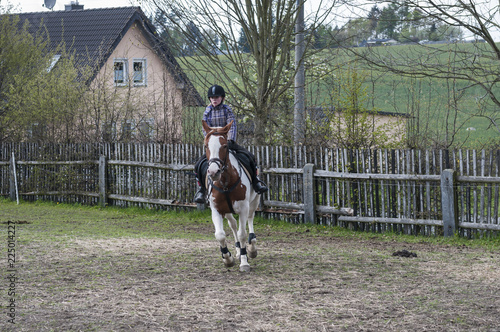 Young girl rides a horse / Young girl rides a horse and trains for show jumping.