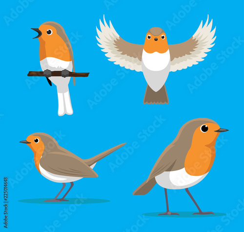 Cute European Robin Cartoon Vector Illustration