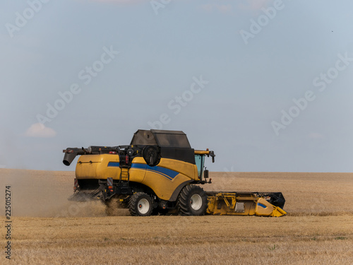 Yellow combine harvesters on the field. Combine harvest on grain field. Summer harvest and blue sky. Harvesting on grain field. Harvests wheat in the fields in summer.