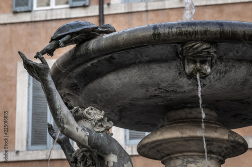 Detail of the turtle or turtles fountains in Piazza Mattei, Sant'Angelo discrict, Rome, Lazio, Italy.