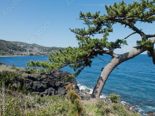 城ヶ崎海岸 © Taro