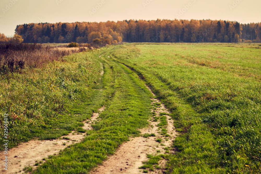 Obraz premium Ground country road in a field. Autumn landscape.