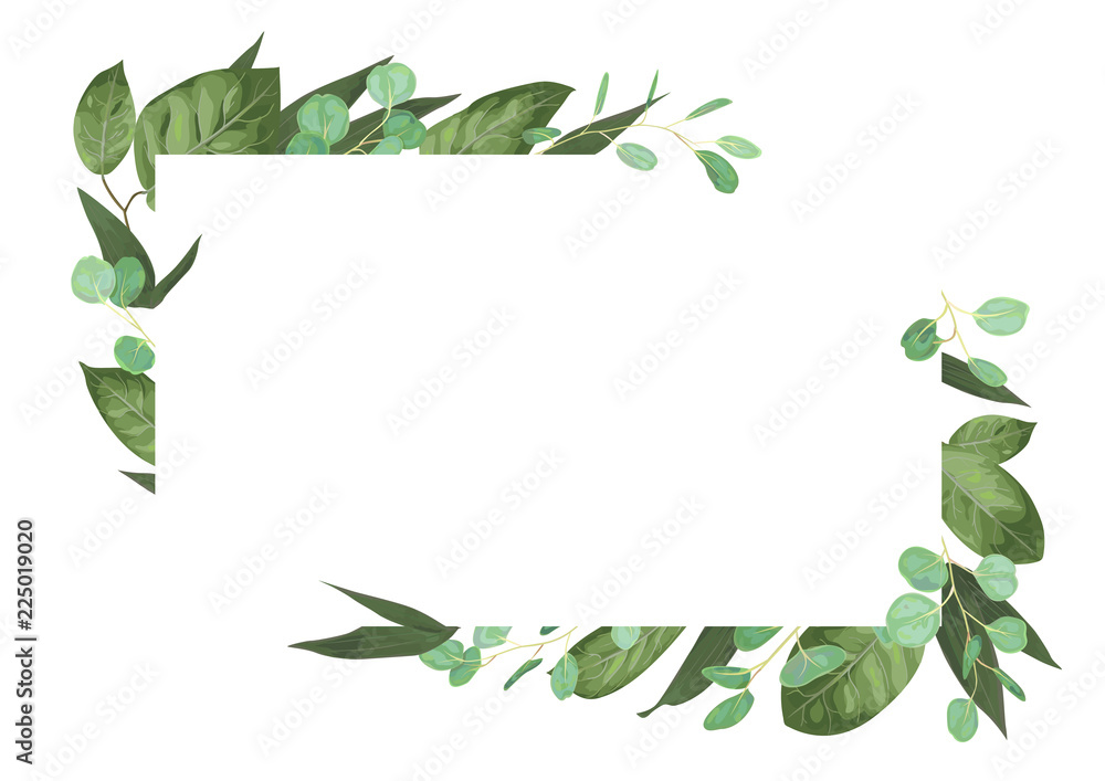 Vector card floral design with green watercolor, herbs, leaves eucalyptus,  lily leaves, botanical green, decorative frame, horizontal rectangle. Cute  greeting, postcard template Stock Vector | Adobe Stock