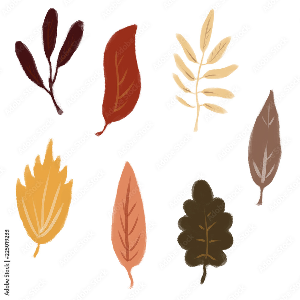 Autumn Leaves Isolated on White Background. herbarium. leaf fall Autumn Leaves Isolated on White Background. herbarium. leaf fall