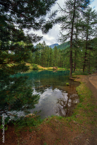 alpine lake in a pine forest in Rhemes Notre Dame