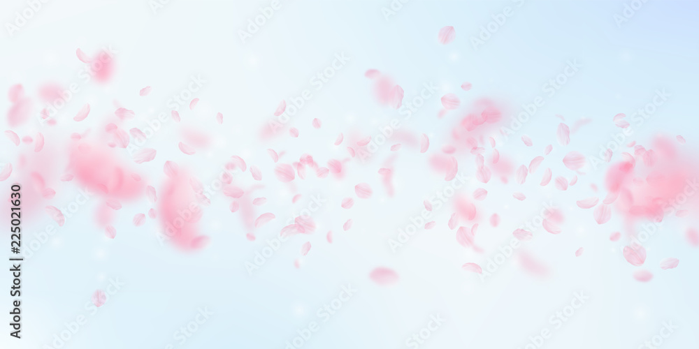 Sakura petals falling down. Romantic pink flowers falling rain. Flying petals on blue sky wide backg