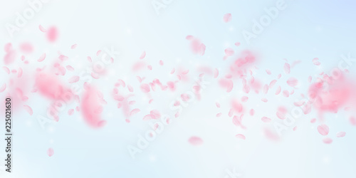 Sakura petals falling down. Romantic pink flowers falling rain. Flying petals on blue sky wide backg