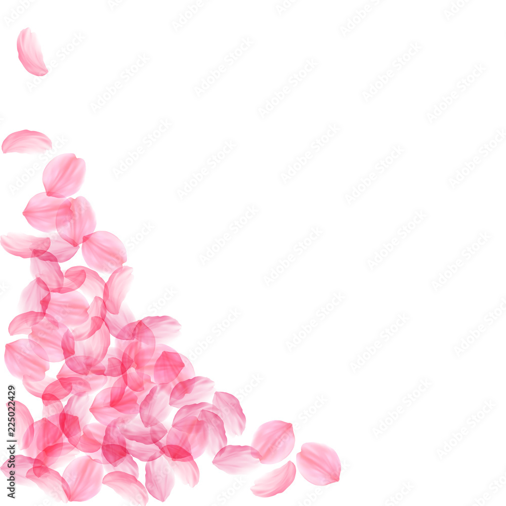 Sakura petals falling down. Romantic pink silky big flowers. Thick flying cherry petals. Bottom left
