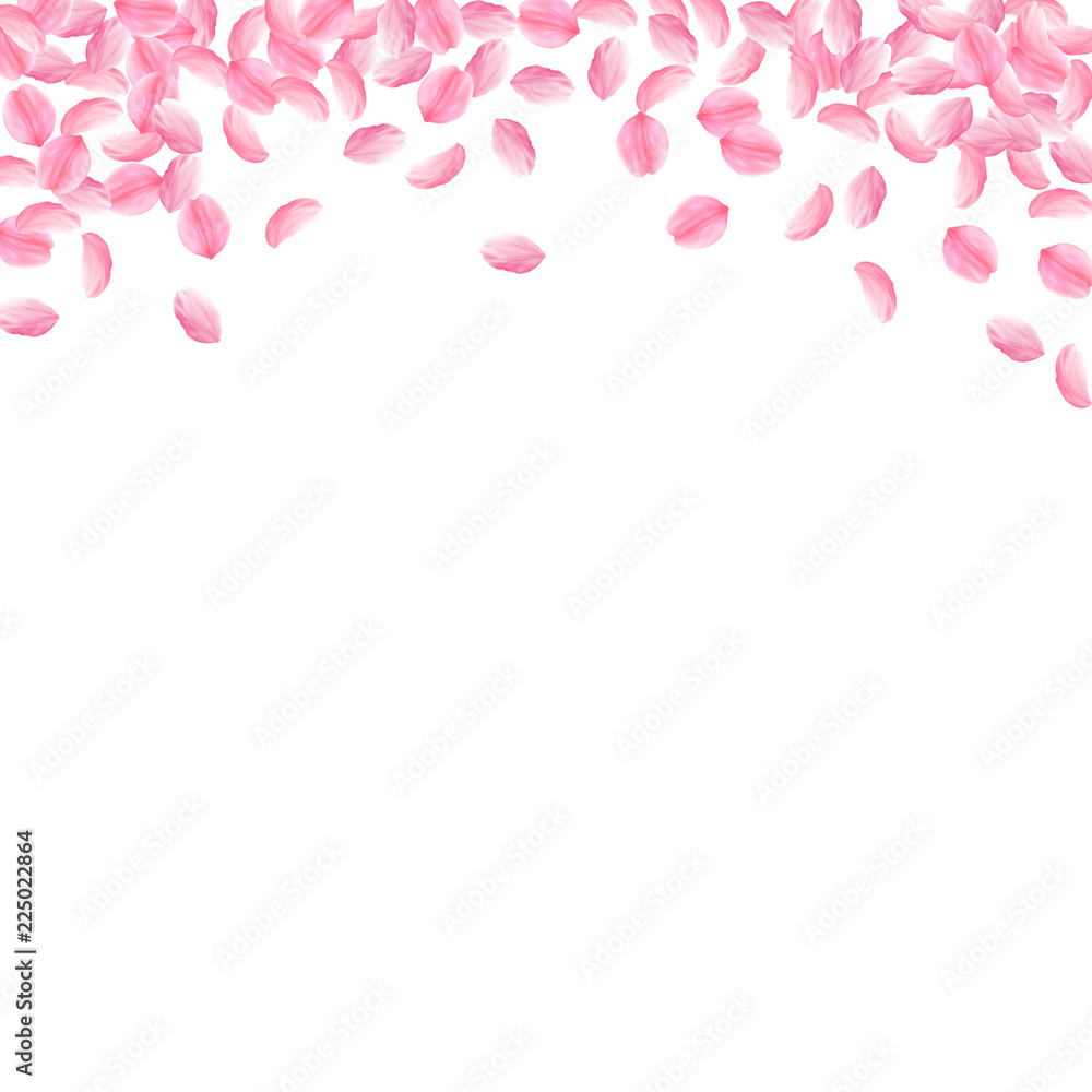 Sakura petals falling down. Romantic pink bright medium flowers. Thick flying cherry petals. Square 