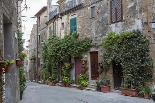 Pitigliano Italy June 30th 2015   Climbing plants covering houses in the narrow streets of Pitigliano  Tuscany