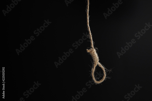 tiny brown noose on a black background