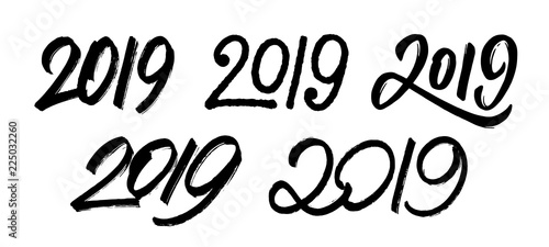 Decoration elements for New Year 2019. Set 5 with handwritten numbers for Chinese for Year of the Pig. Vector illustration.