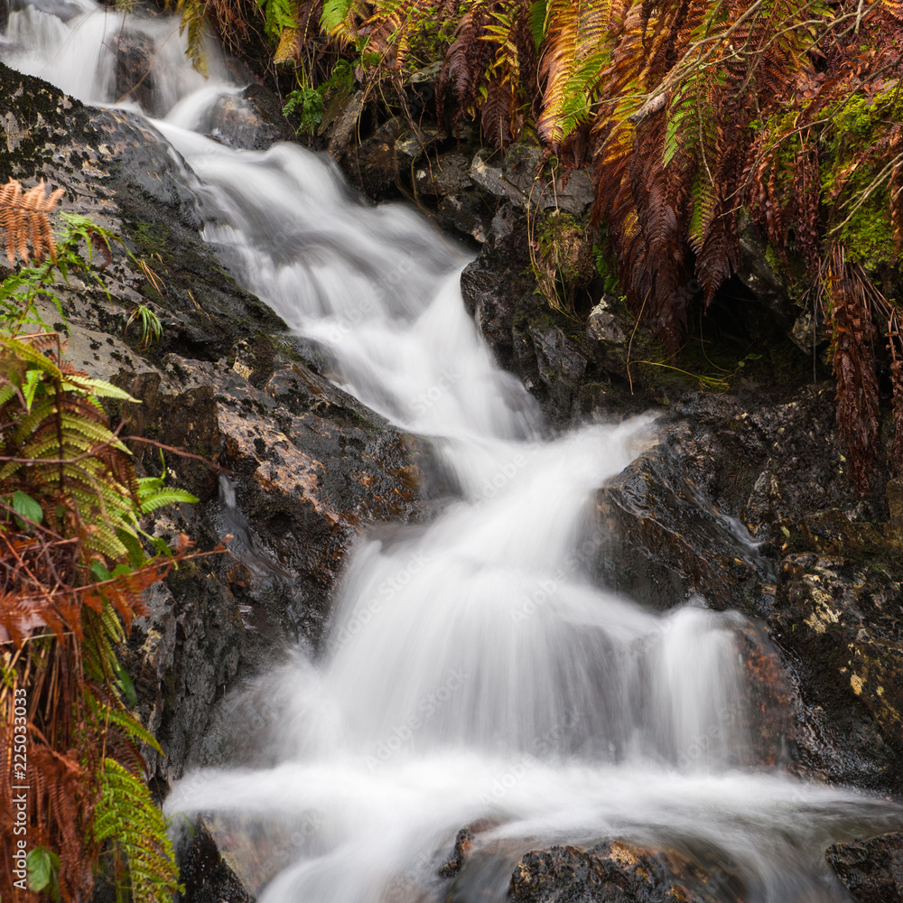 Obraz premium Scottish Stream flowing in Autumn into Loch Katrine in the highlands