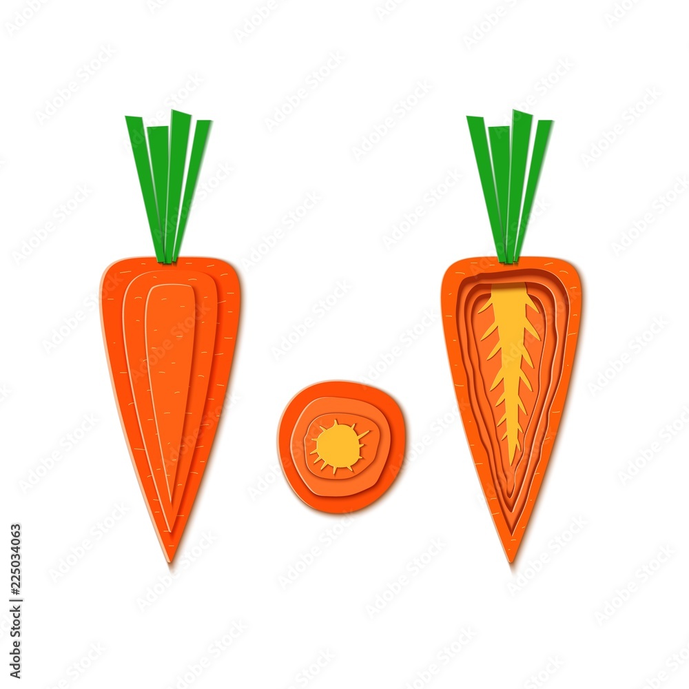 Set of paper cut orange carrot. Vector paper cut design in the form of ripe carrots whole and slice for design of food packaging. Vector illustration. Paper applique vegitable. Origami concept. Set of paper cut orange carrot. Vector paper cut design in the form of ripe carrots whole and slice for design of food packaging. Vector illustration. Paper applique vegitable. Origami concept.
