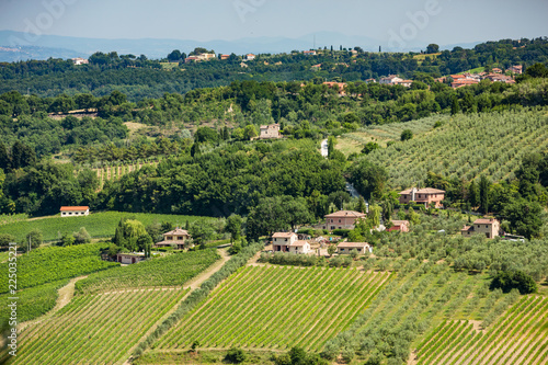 Tuscan houses and vineyards near Montepulciano, Tuscany