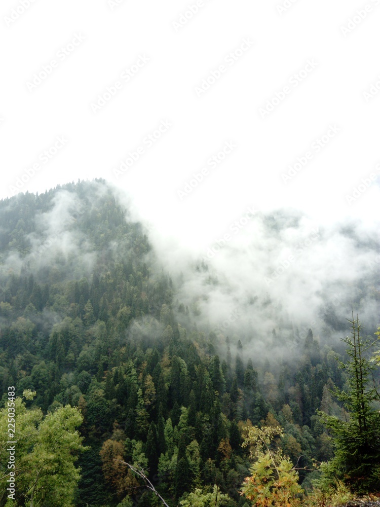 Mountains in the clouds Mountains in the clouds