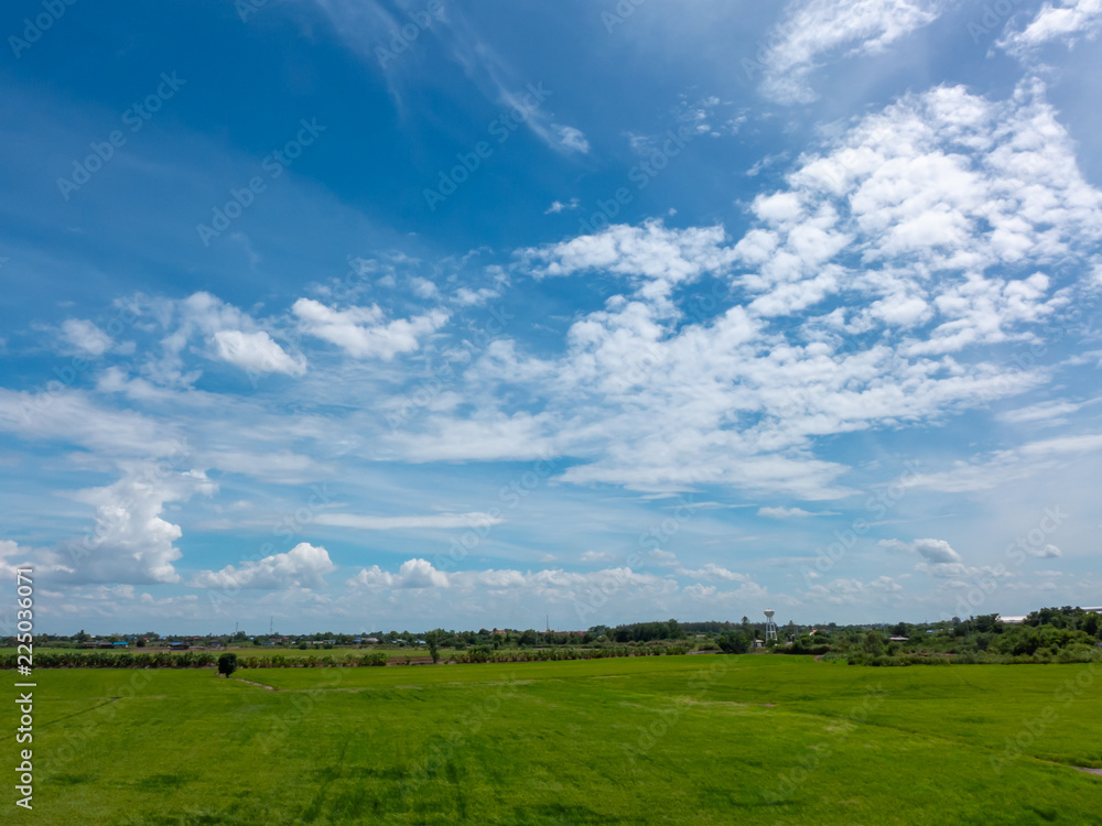 beautiful green rice field on blue sky with cloud background beautiful green rice field on blue sky with cloud background