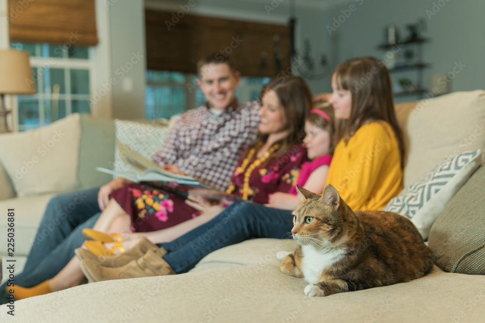 Cat Staring While Mom Dad and Kids on the Couch for Family Time