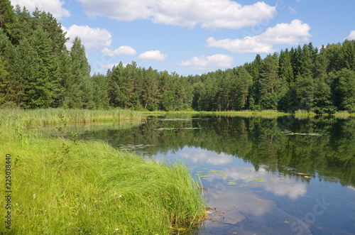 Nature of Seliger. Lake Dohlets in Tver region on a Sunny summer day