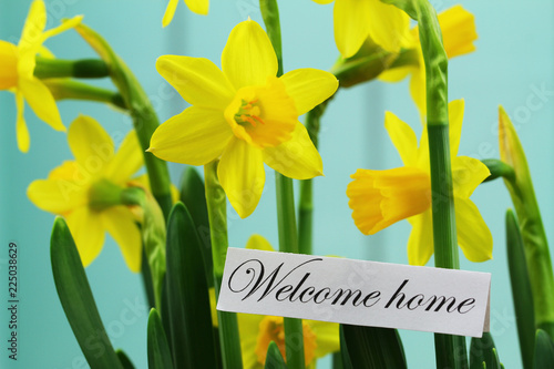 Fototapeta Naklejka Na Ścianę i Meble -  Welcome card with daffodils on blue background
