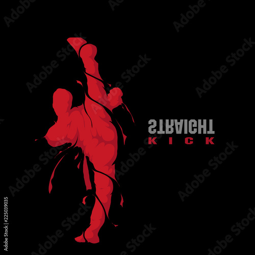 martial straight kick splash