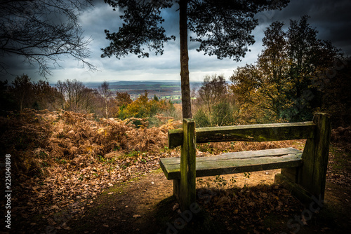 Wooden bench Surrey Hills