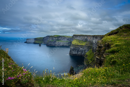Cliffs of Moher Co. Clare