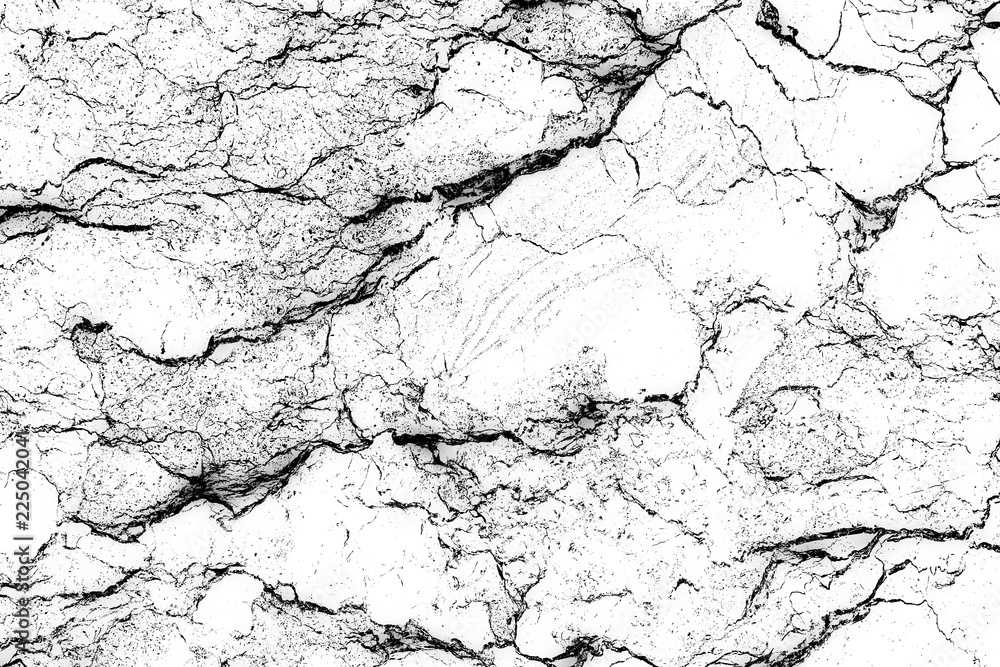 Fototapeta premium white marble background texture natural stone pattern abstract (with high resolution).