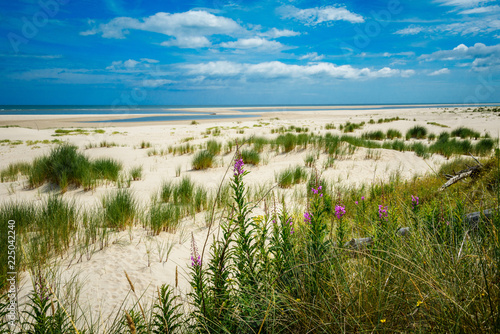 Deserted beach Raven Point Co. Wexford