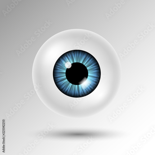 Leinwand Poster Vector 3d human eyeball with blue iris and shadow isolated on white background