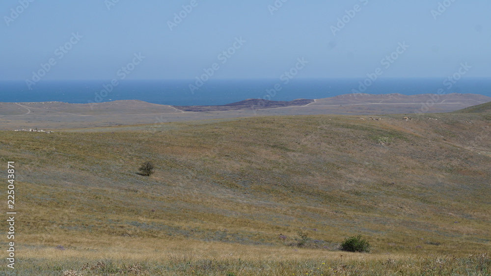 Obraz premium view of landscape