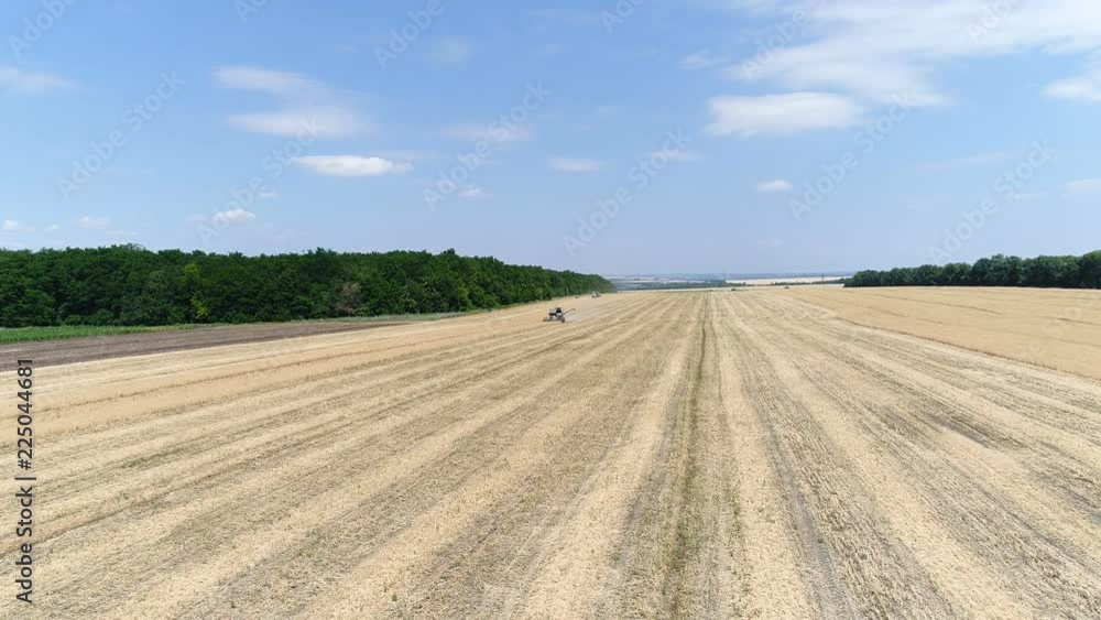 Old harvester reaps wheat. Aerial Old harvester reaps wheat. Aerial