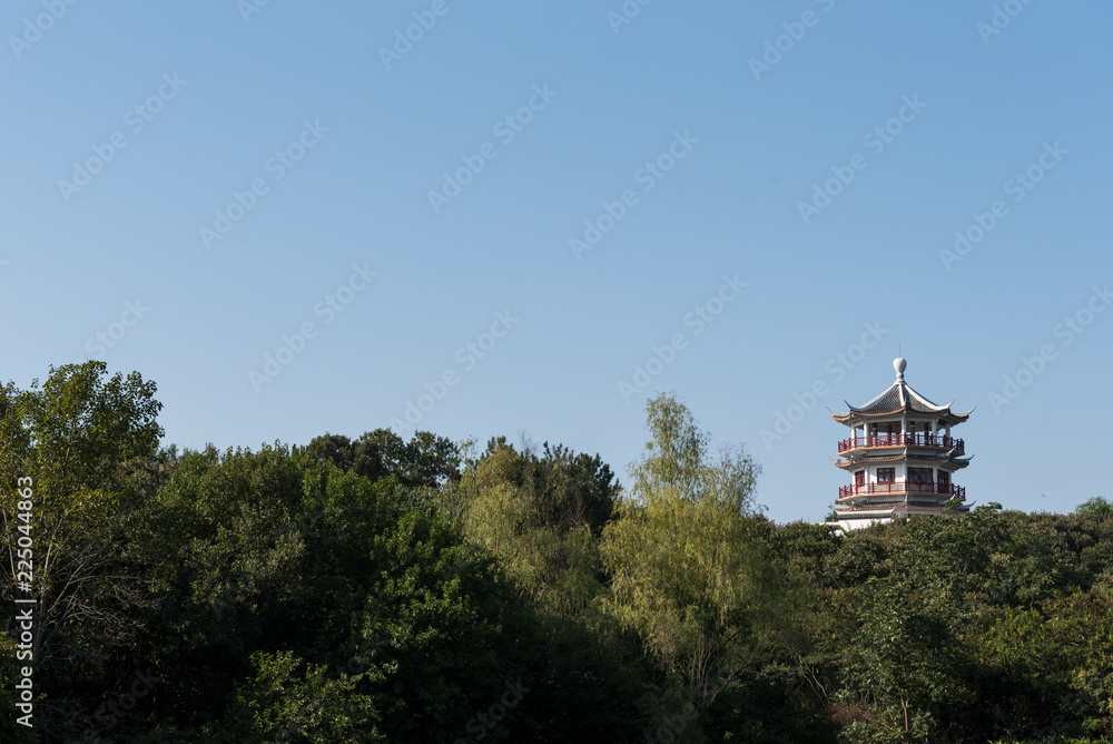 Chinese temple with forrest in foreground Chinese temple with forrest in foreground
