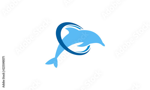 jump dolphin in the ring