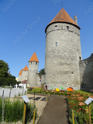 Tallín - Estonia photo