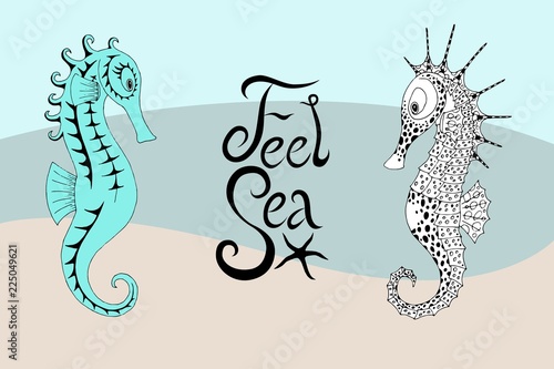 Fototapeta Naklejka Na Ścianę i Meble -  Two seahorses and the calligraphic inscription with feel