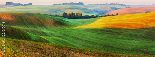 Φωτογραφία picturesque hilly field. green wavy field
