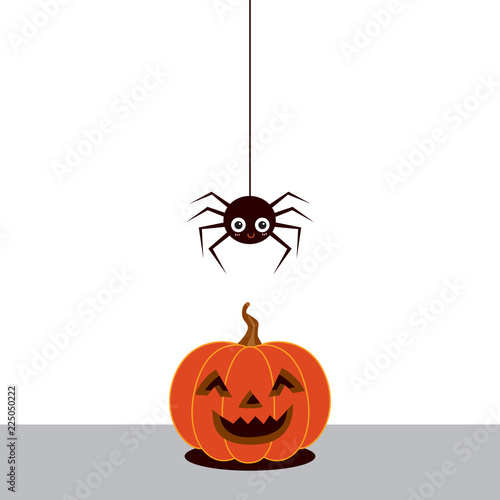 Halloween pumpkin and cute spider