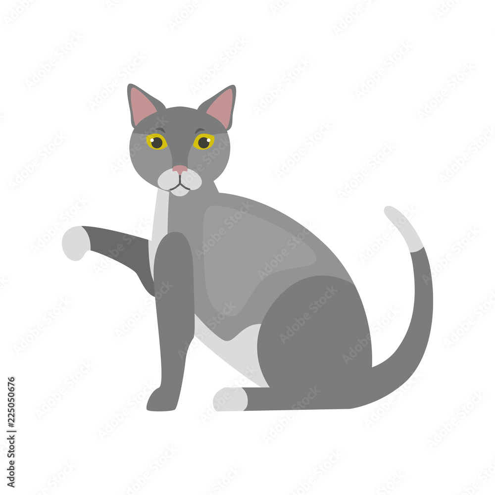 Obraz premium Home cat color vector icon. Flat design