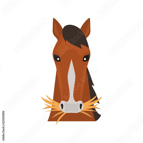 Horse muzzle color vector icon. Flat design