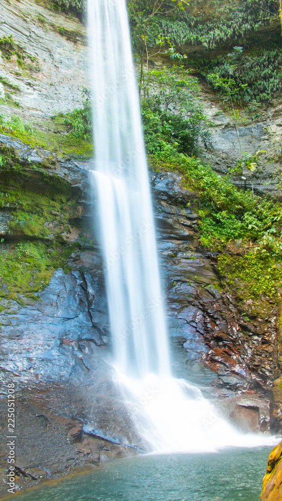 Obraz premium waterfall in forest