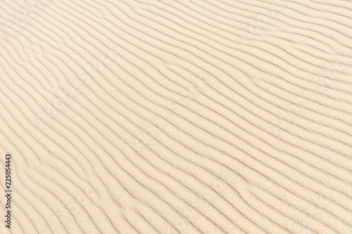 The wavy texture of the sand on the beach. The background image. Top view