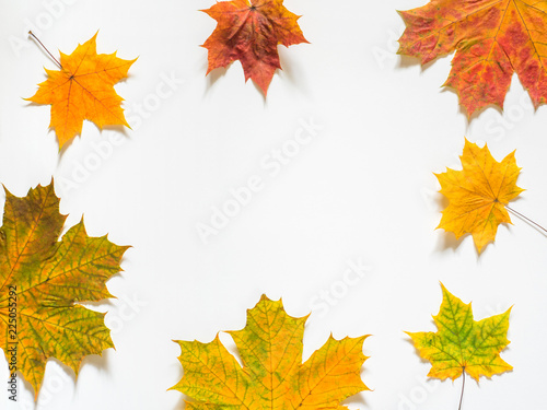 Autumn composition of yellow maple leaves on white background. Flat lay  top view  copy space