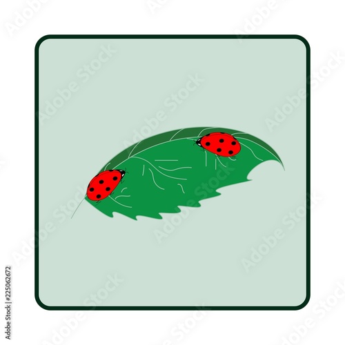 Ladybird on leaf. Illustration ladybug on white background. Cute colorful sign red insect symbol spring, summer, garden. Template for t shirt, apparel, card. Design element Vector illustration